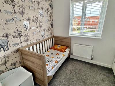 Picture 15